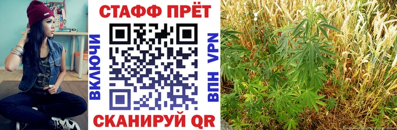 Как найти наркотики Муром А ПВП  Галлюциногенные грибы  Каннабис  АМФЕТАМИН  COCAIN  Меф 