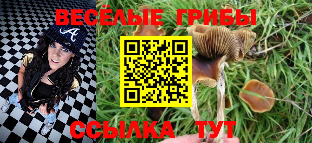 Муром  Псилоцибиновые грибы мицелий  Вход с VPN 