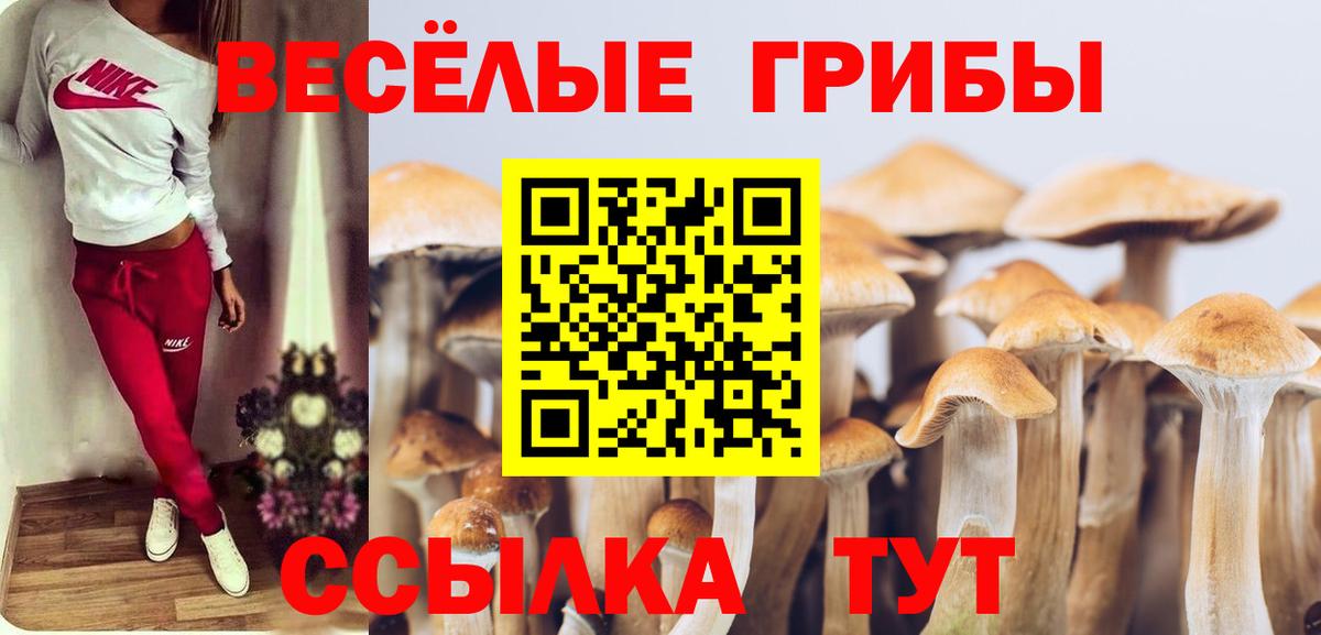 Галлюциногенные грибы мухоморы Муром